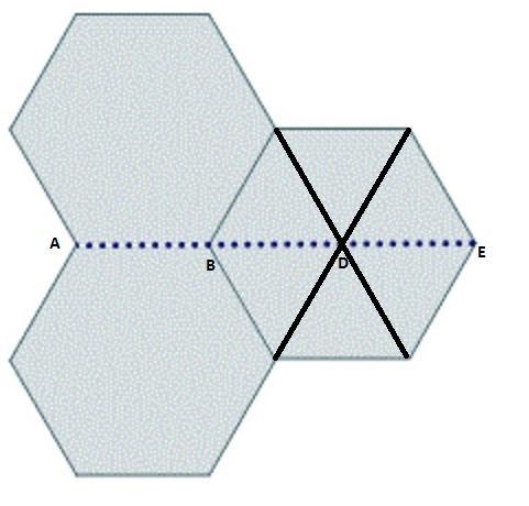 ASAP PLS> Fiona must find the length indicated by the dotted line for the tiles-example-1