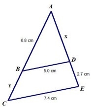 Given that ∠ABD is similar to ∠ACE, what is the value of x? Round your answer to the-example-1