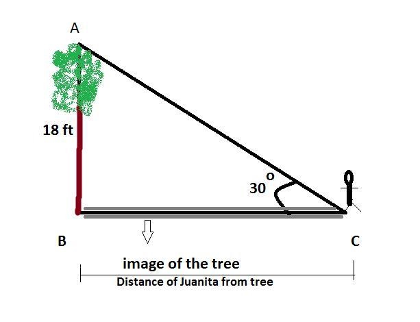 Juanita measures the angle of elevation from the ground to the top of an18-foot-tall-example-1