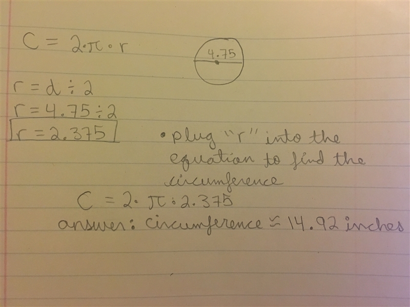 A circle with a diameter of 4.75 inches has an approximate circumference-example-1