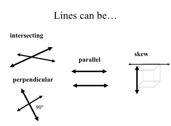 Skew lines are parallel. always sometimes never-example-1