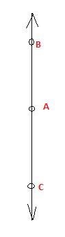 An and ac are opposite rays.all of the following are true except A = A,B,C are collinear-example-1