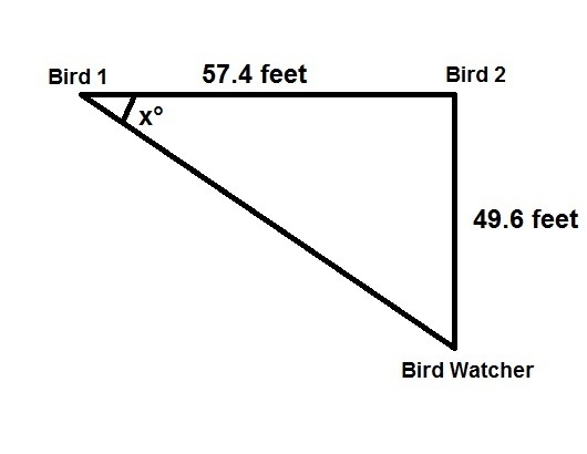 Two birds sit at the top of two different trees 57.4 feet away from eachother. The-example-1