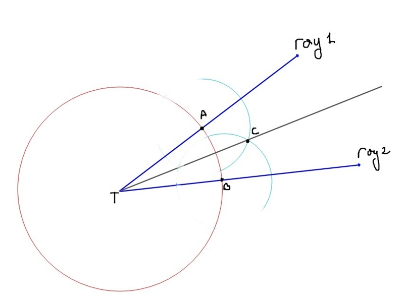 3. Use compass and straightedge to bisect T. Describe your process carefully and-example-1