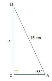 What is the length of  ? Round to the nearest tenth 6.8 cm 7.5 cm 14.5 cm 17.7 cm-example-1