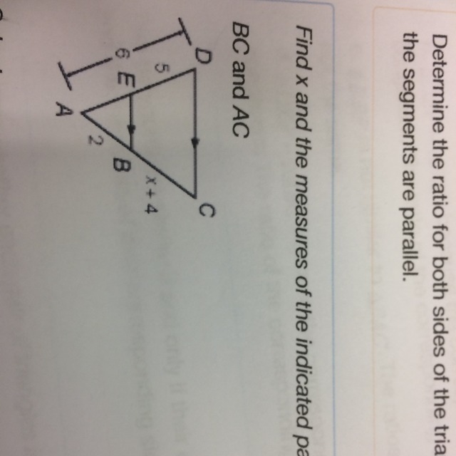 Find x and the measures of the indicated parts-example-1