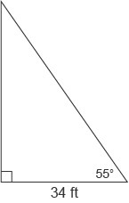 A guy wire supports a cell-phone tower. The guy wire makes a 55° angle with the ground-example-1