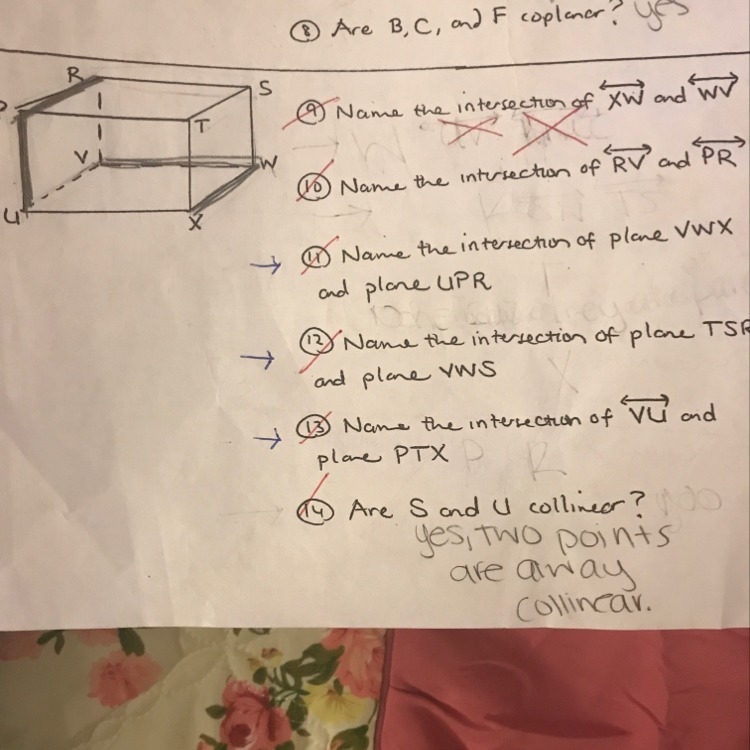 Name the intersection of XW and WV-example-1