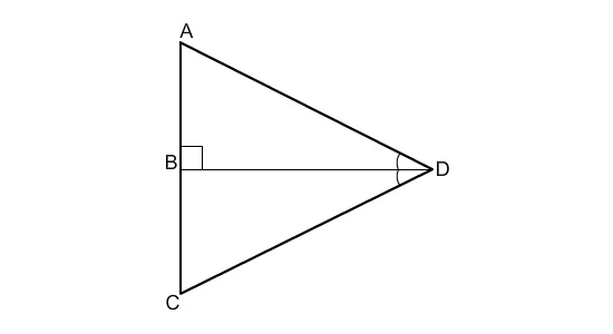 Mathh helppppppp 10) Name the postulate or theorem you can use to prove ΔABC≅ΔCBD-example-1