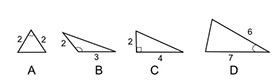 Sylvia calculated the missing side length of one of these triangles using the Pythagorean-example-1