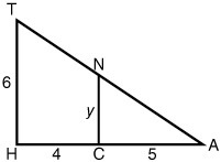 ΔHAT is similar to ΔCAN. What is the value of y?-example-1