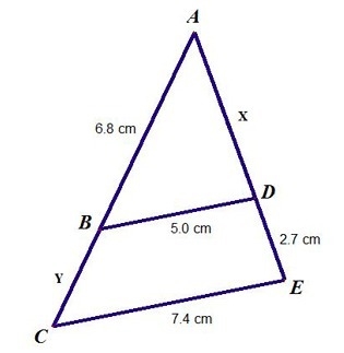 Given that ∠ABD is similar to ∠ACE, what is the value of x? Round your answer to the-example-1