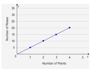 According to the graph, the relationship between the number of rose plants and the-example-1