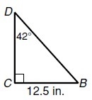 Find the length of DB to the nearest hundredth of an inch.-example-1