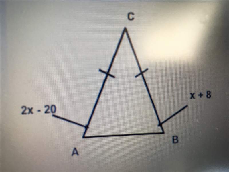 Find angle B if triangle ABC below is isosceles.  A: 77 Degrees B: 36 Degrees C: 50 Degrees-example-1