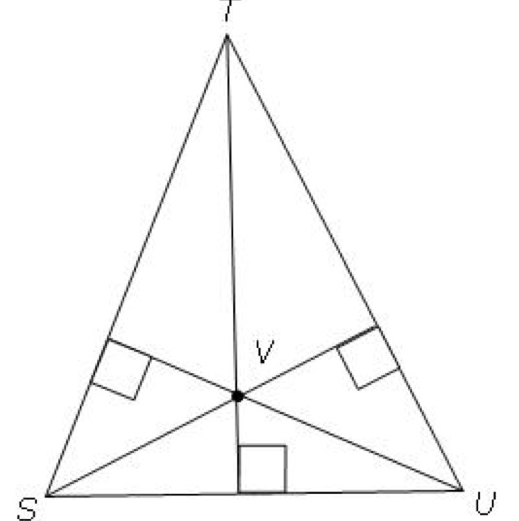 The diagram shows STU. Which term describes point V?-example-1