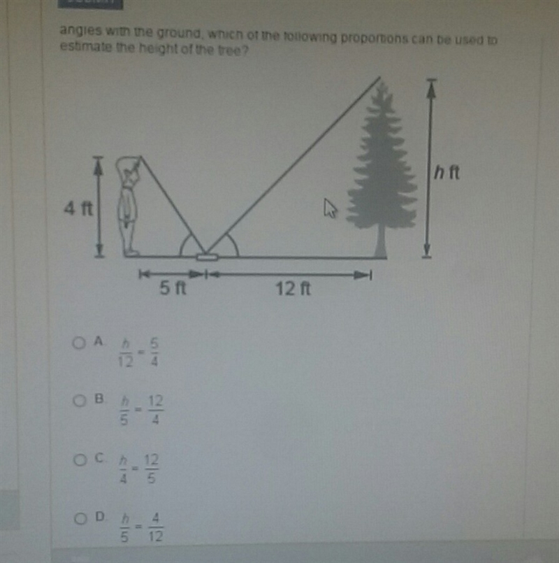 Please Help the figure shows a child estimating the height of a tree by looking at-example-1