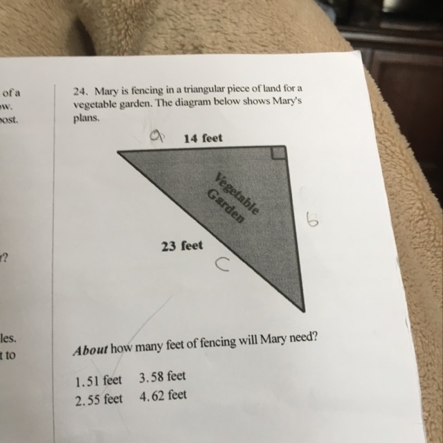 Can someone help with 24-example-1