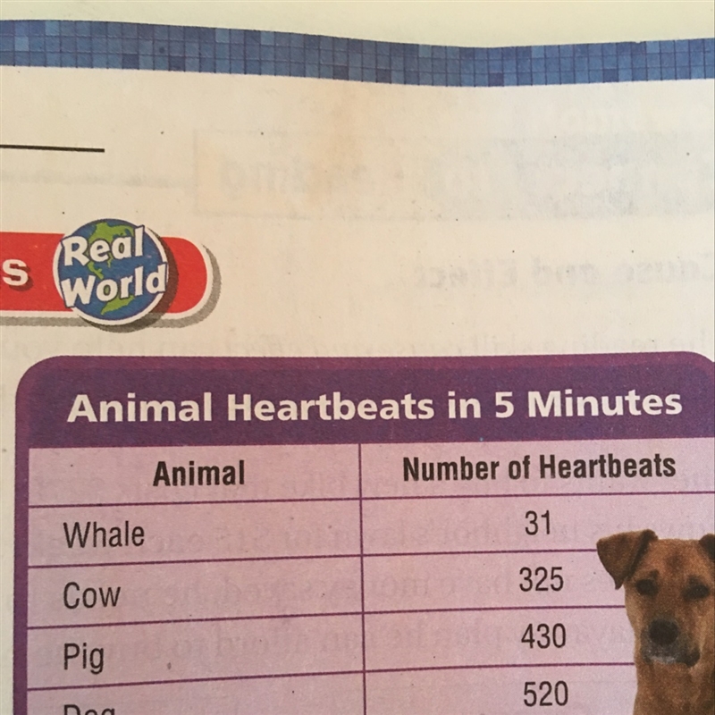 About how many times does a cow’s heart beat in 2 minutes-example-1