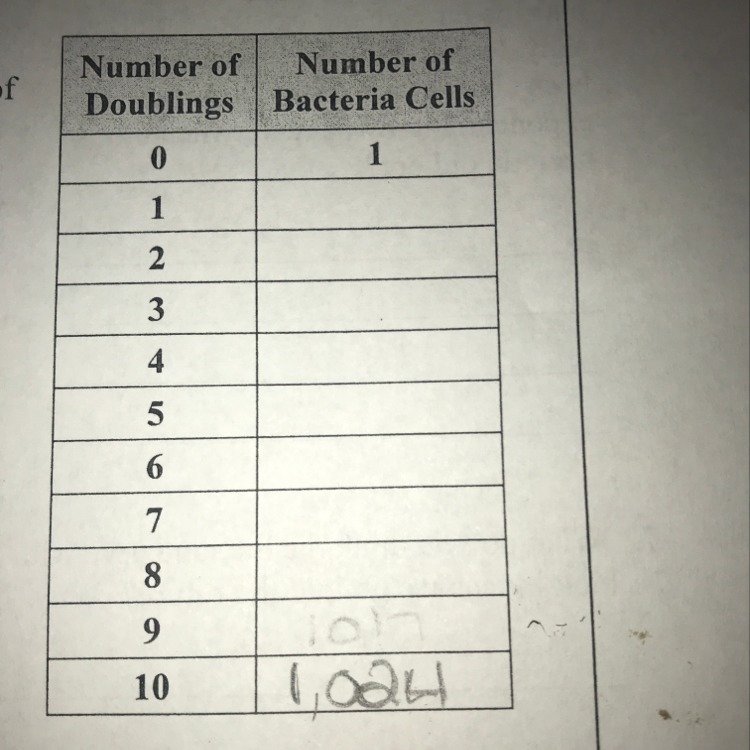 Need help with this data table need it to end up to 1024 thanks-example-1