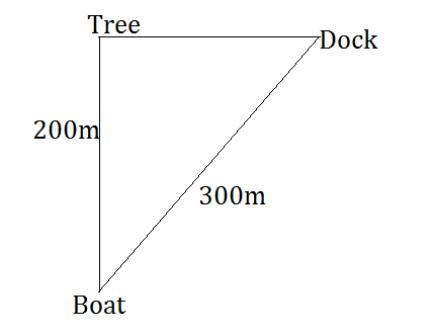 A fishing boat lies 200 m due south of a large tree on the shoreline and 300 m southwest-example-1