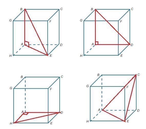 Which is a right triangle formed using a diagonal through the interior of the cube-example-1