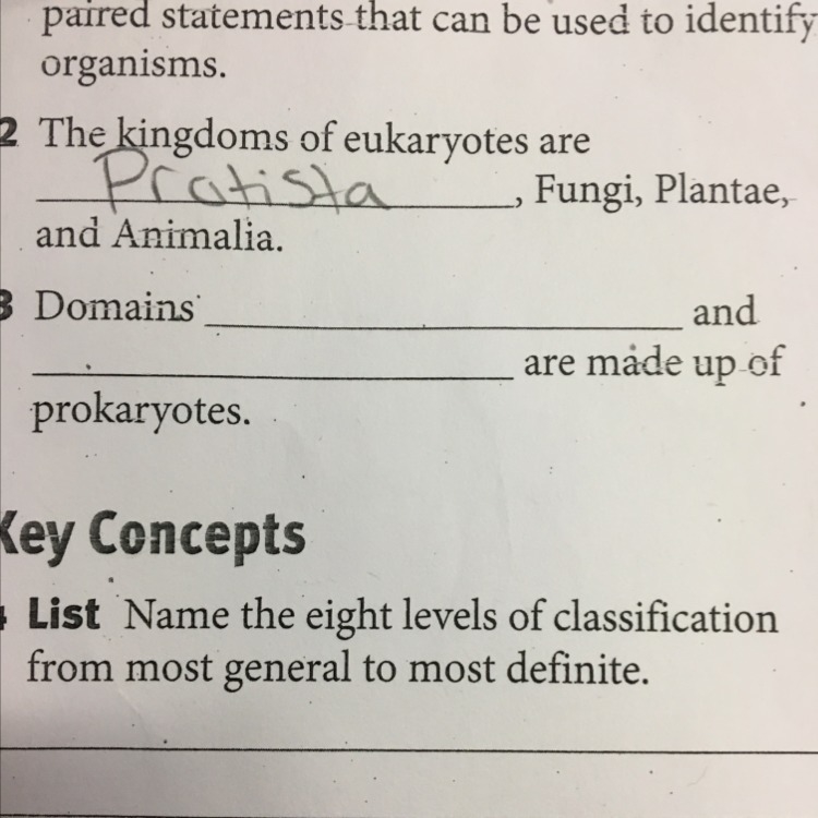 Domains and are made up of prokaryotes-example-1