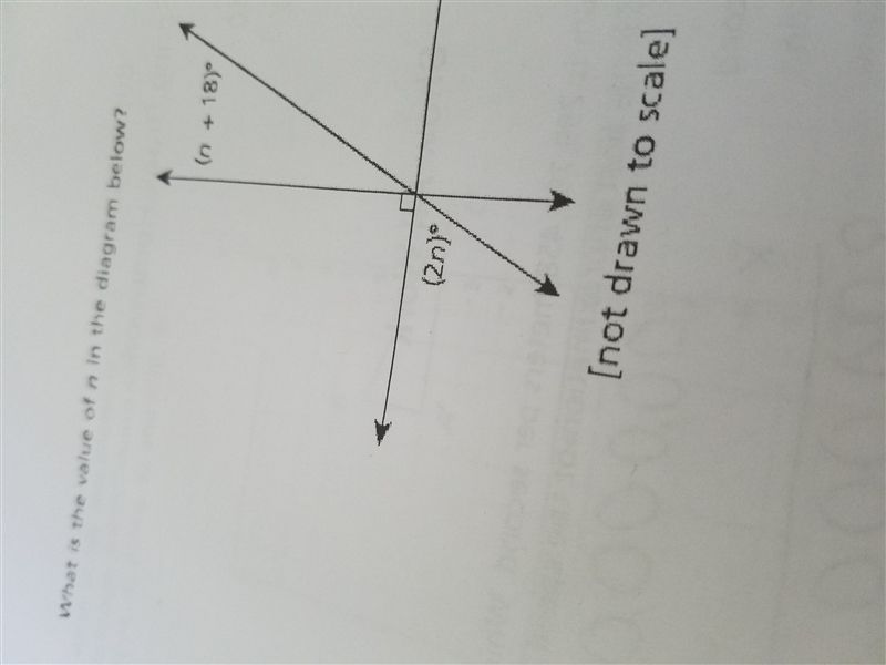 What is the value of n in the diagram below-example-1