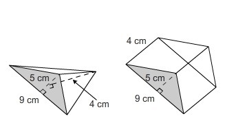 Which statement is true if the triangular prism and the triangular pyramid have the-example-1