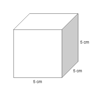 What is the surface area of the cube? ___________ cm2-example-1