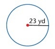 Find the circumference of the circle (use 3.14 for pi). Round to the nearest tenth-example-1