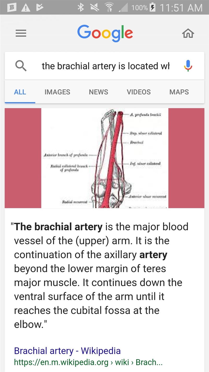 True or False The brachial artery is located in the lateral wrist, just proximal to-example-1