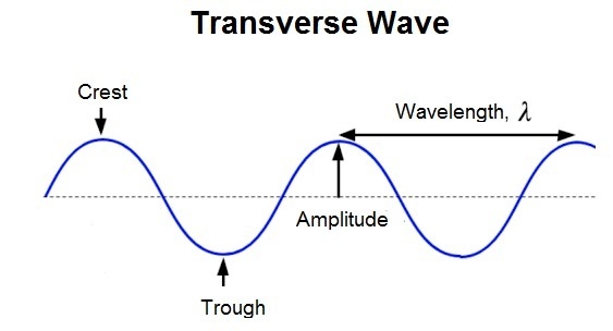 The height of a transverse wave from the midpoint to the crest or trough is ____-example-1