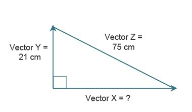 What is the magnitude of vector x a.54 cm b.72 cm c.5184 d.5625-example-1