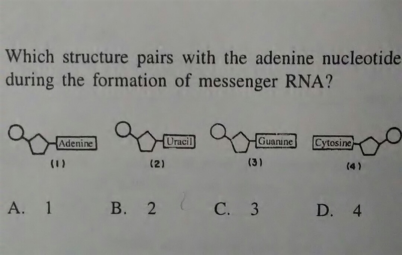 Help please someone ill reward you 15 points :))-example-1