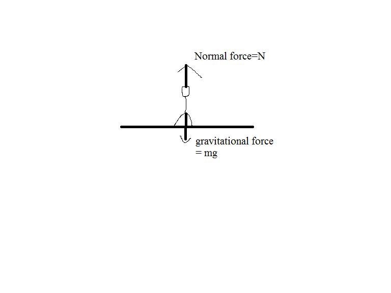 When you stand at rest on a floor, the number of vertical forces acting on you is-example-1