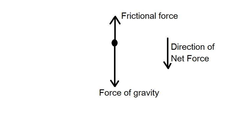 Select all that apply. An acorn falls from a tree. Which of the following statements-example-1