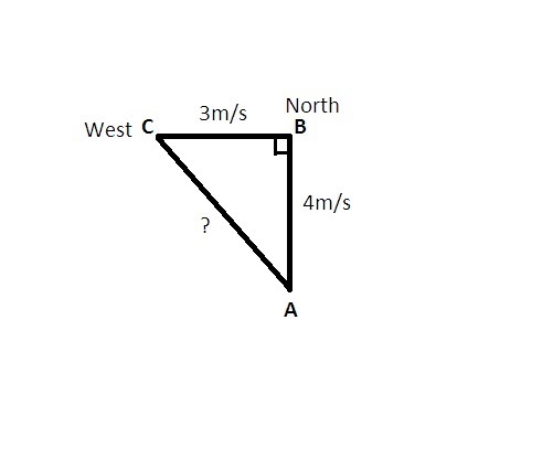 Use the Pythagorean theorem to answer the following question. A ping-pong ball is-example-1