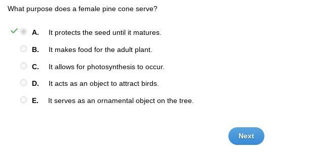 What purpose does a female pine cone serve? It protects the seed until it matures-example-1