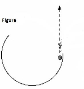 A ball is rolled along the inside of a partial hoop lying flat on a table. which path-example-1