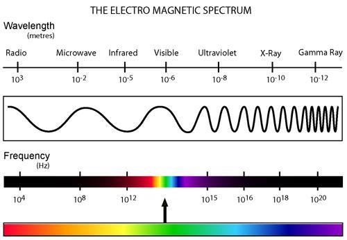 Gamma rays, x-rays, visible light, and radio waves are all types of _____.-example-1