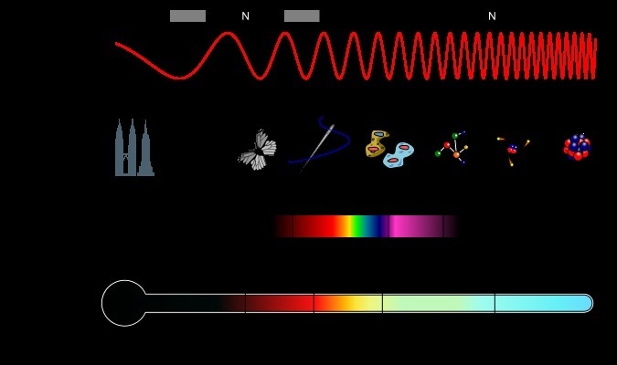 PLEASE HELP........Compare and contrast microwaves with visible light using wavelength-example-1