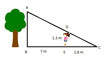 Person is 1.3 meters tall and stands 7 meters in front of a tree and casts a shadow-example-1