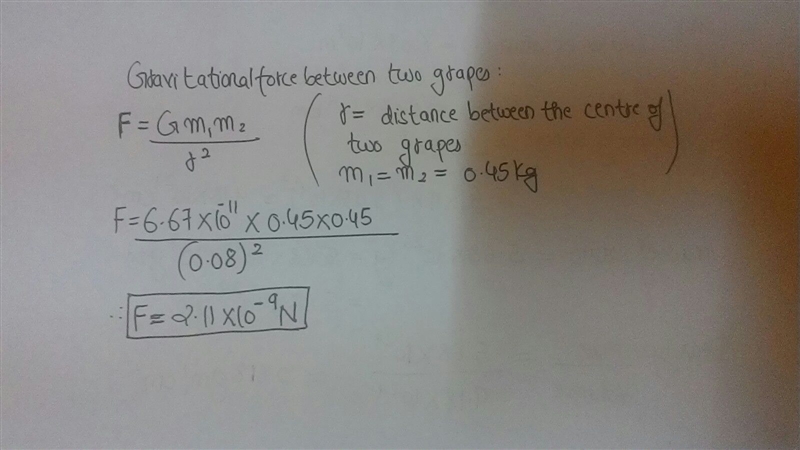 Calculate the force between two touching grape fruits each with a radius of 0.08 meters-example-1