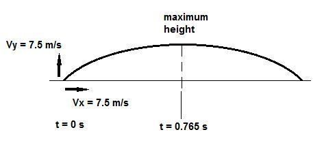 A snowball is thrown with an initial x velocity of 7.5 m/s and an initial y velocity-example-1