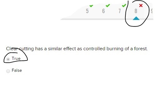 Clear cutting has a similar effect as controlled burning of a forest. True False-example-1