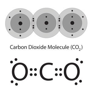 Which type of bond does this molecule have?-example-1