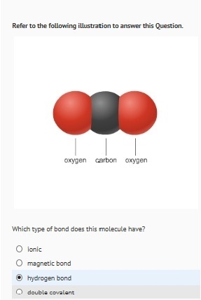 PLEASE HELP!! What type of bond does this molecule have?-example-1