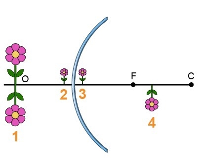 HURRY PLEASE! Which flower would most likely represent the image formed by the mirror-example-1