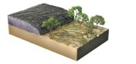 The geologic relationships in this figure indicate that the lava flow: A. pushed the-example-1